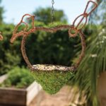 Bird-Feeders-Plantables_LIFESTYLE03