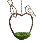 Sparrow_Bird_Feeder_Fresh_Green_7in_Diameter_56902