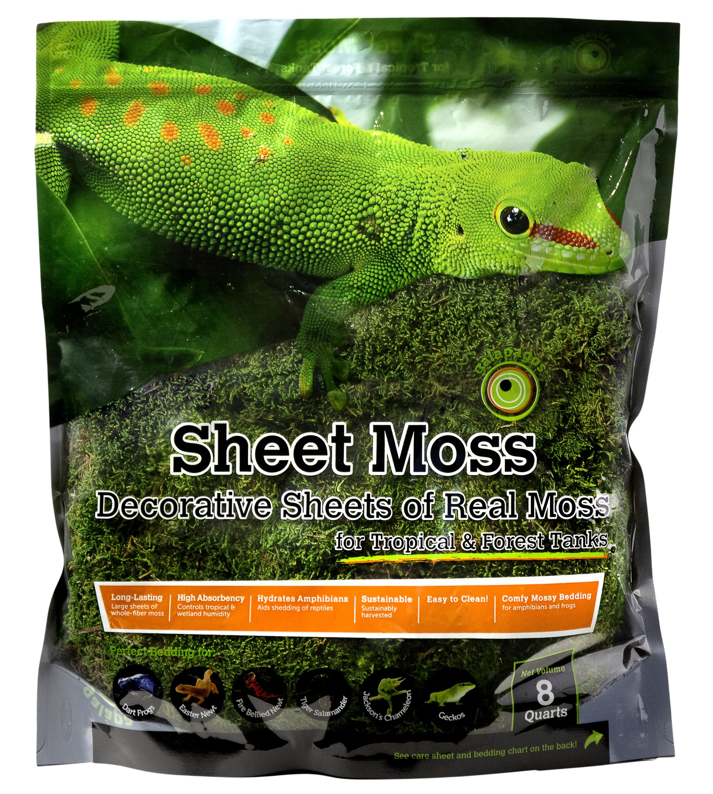 Sheet Moss
