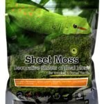 Sheet_Moss_Natural_Preserved_8qt_Stand-Up_Pouch_05248(P)