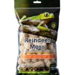 reindeer-moss-new1