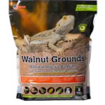 walnut website