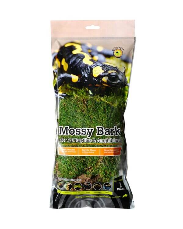 Basking_Bark_Sheet_Moss_1_Pc._05276