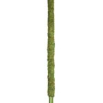 Moss_Pole_Preserved_Fresh_Green_36in_22235