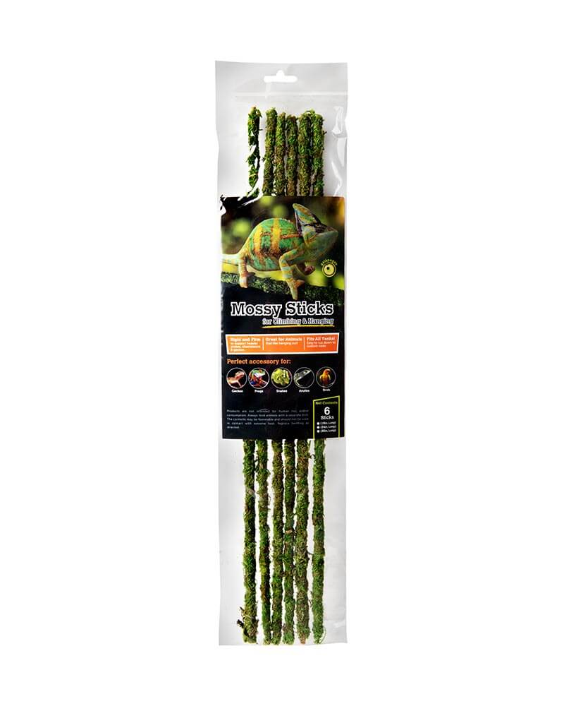 Mossy Sticks