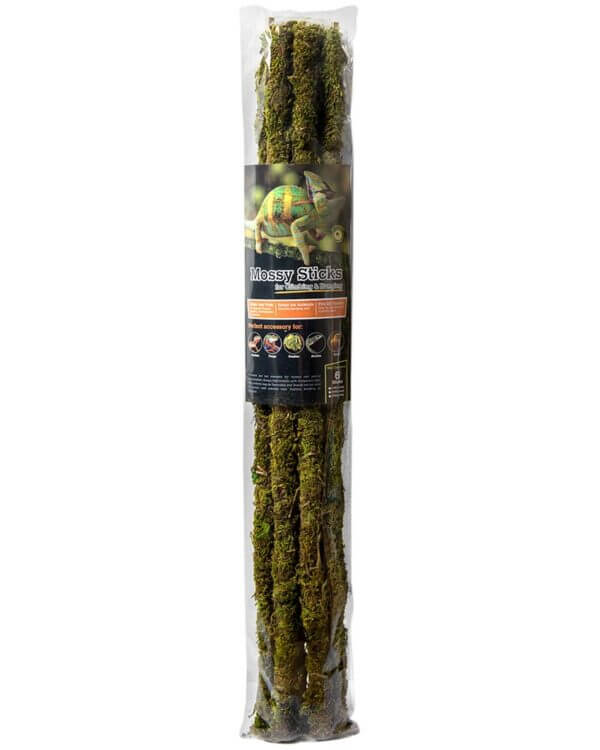 Mossy_Sticks_Fresh_Green_24in_6_Pcs._05321
