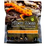 Pillow_Moss_Natural_Dry_4qt_Stand-Up_Pouch_05234