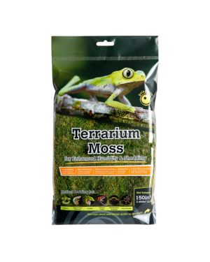 Live Terrarium Pillow Moss ⋆ SnakeEstate