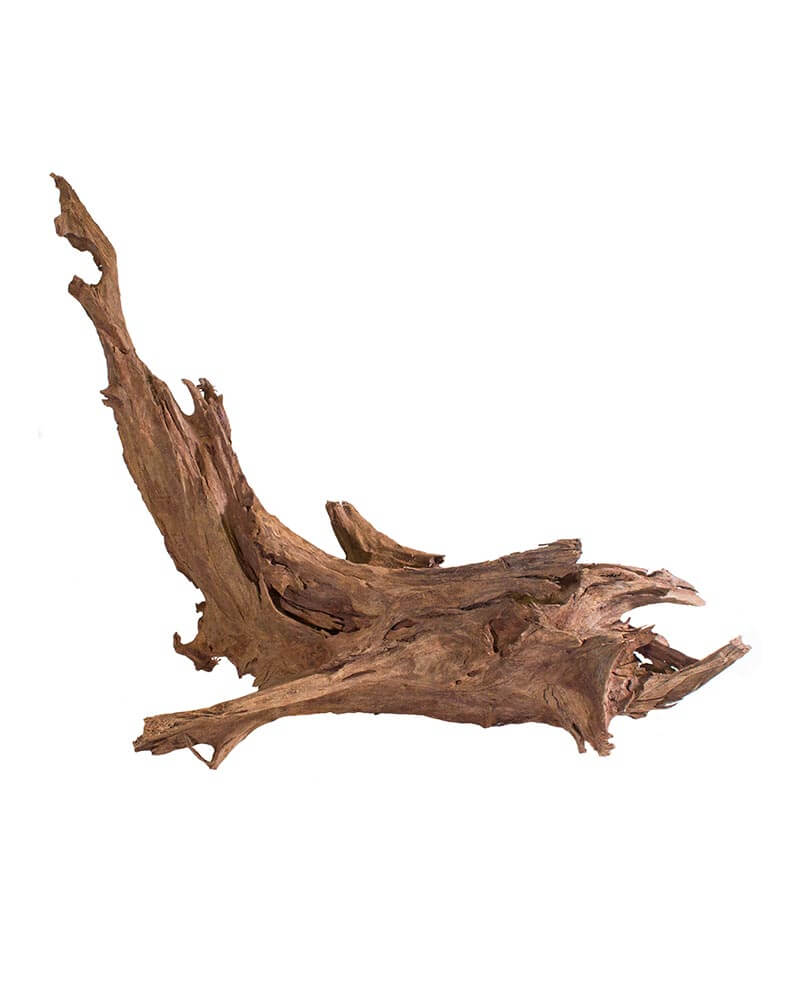 Driftwood Archives | Galápagos Reptile Gear Driftwood Archives | Galápagos Reptile Gear