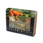 Terrarium_Starter_Kit_Humid_Environment_4.5qt_Box_05350