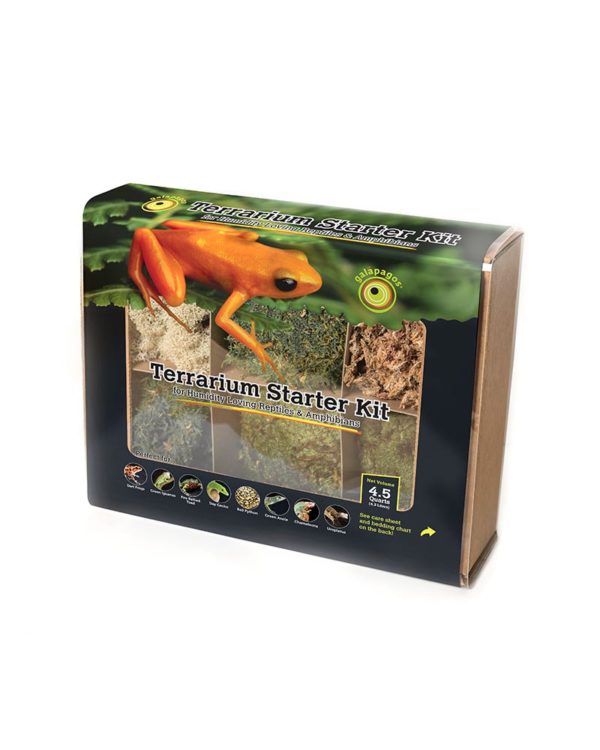 Terrarium Starter Kit