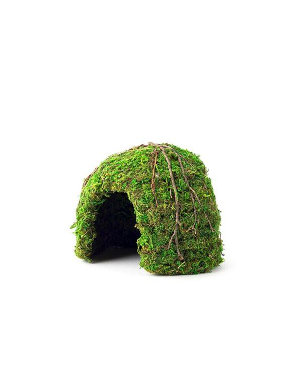 Mossy Caves