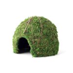 Mossy-Dome_9in_Green_05368