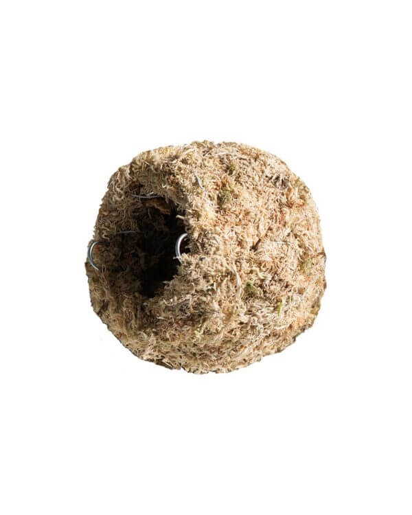 Mossy_Caves_Blond_4_Diameter_05347