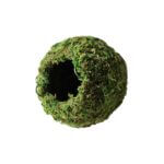 Mossy_Caves_Green_4_Diameter_05346