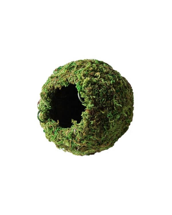 Mossy_Caves_Green_4_Diameter_05346
