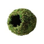 Mossy_Caves_Green_6_Diameter_05348