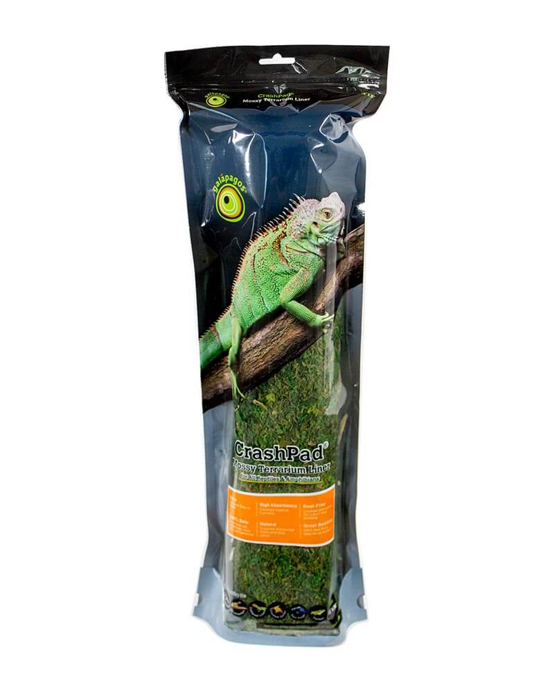 thumbnail image 2 of Galapagos Mossy Terrarium Liner - 18x36 Inch Natural Moss Mat For Reptiles & Amphibians 2 of 11