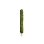 Mossy_Perch_18in_05330