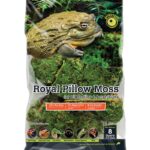 Royal_Pillow_Moss_Fresh_Green_8qt_Bag_05254