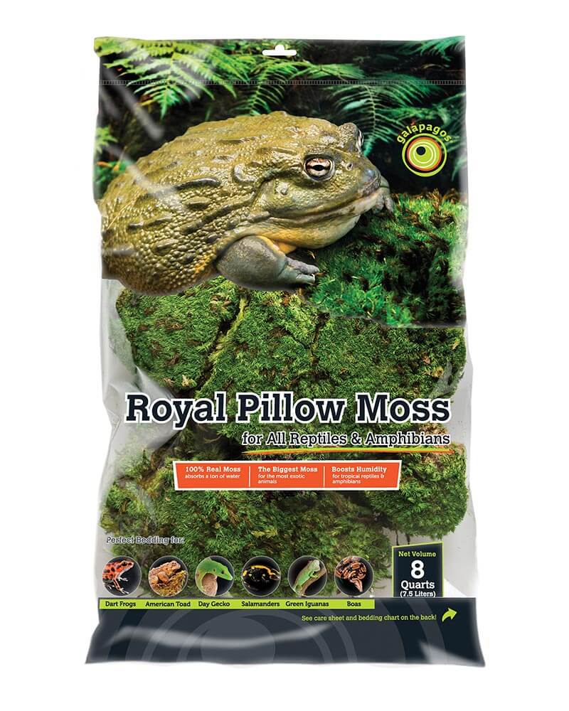 Royal Pillow Moss