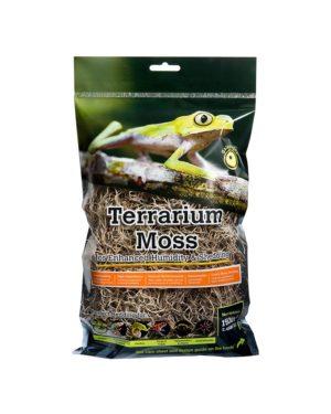 Sphagnum Moss - Golden