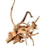 Spider_Wood_Natural_12in-24in_05319