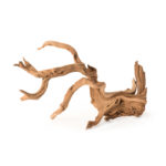 Staghorn-Wood_Manzanita-Root_05511