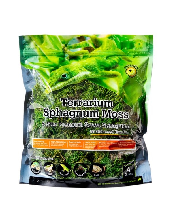 Terrarium Sphagnum Moss