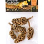 05159_Magnolia-Seed-Pods_Packaging-Photo