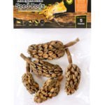 05159_Magnolia-Seed-Pods_Packaging-Photo