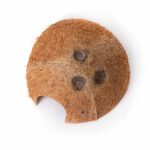 Coconut-Hut_Hide_05380_02_website