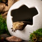 Egg-Hide_05455_Lifestyle_03_Website