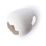 Egg-Hide_05455_Product-Photo_02_Website