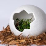 Egg-Hide_05455_Product-Photo_03_Website
