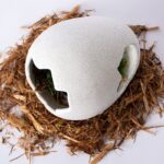 Egg-Hide_05455_Product-Photo_04_Website