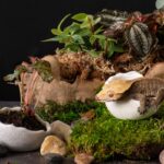 Egg-Dish_Small_05457_Lifestyle_03_Website
